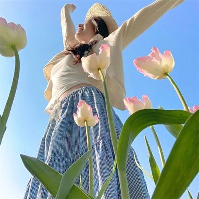 莲花攻略手册 动态漫画