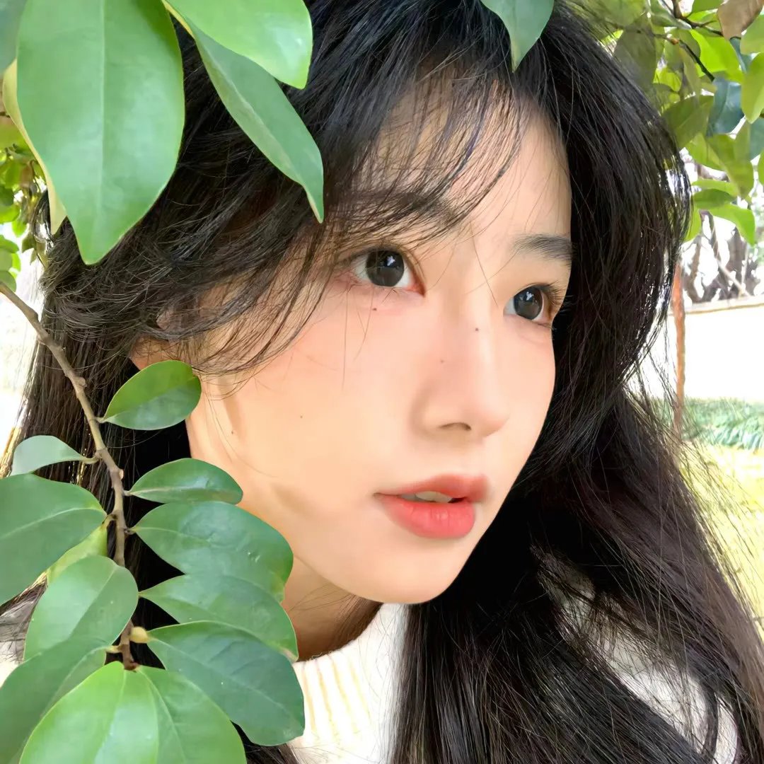 暗影连
